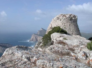  未受破坏的美女 